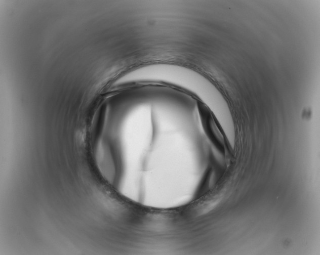 X0000091560072200709141544