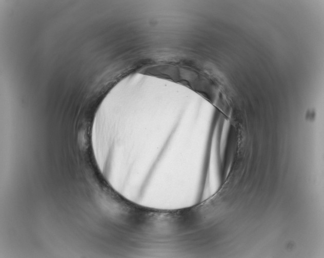 X0000091560074200709141544