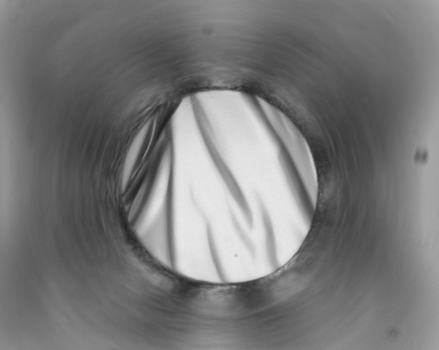 X0000091560078200709141544