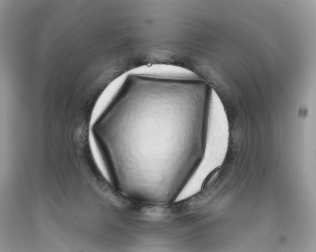 X0000091560079200709141544