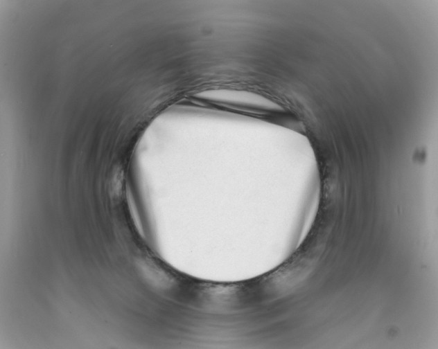 X0000091560081200709141545