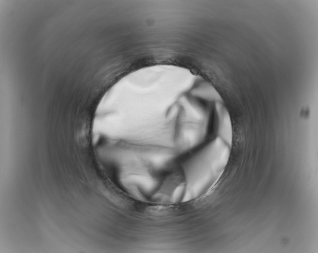 X0000091560082200709141545