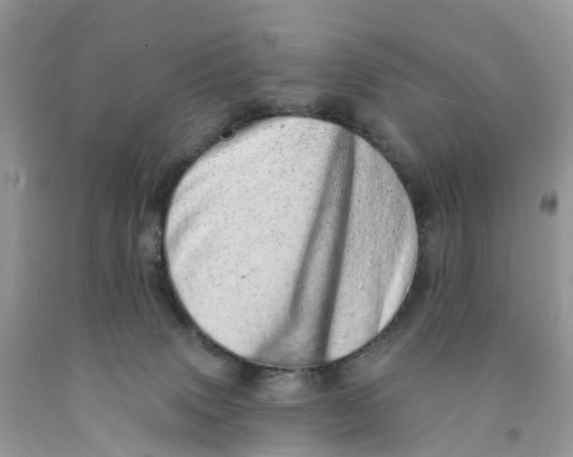 X0000091560083200709141545