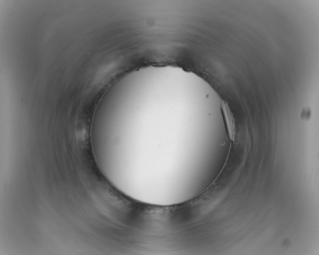 X0000091560084200709141545