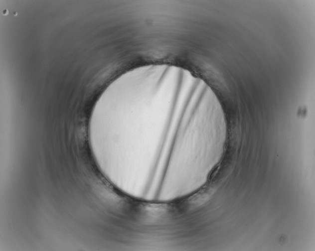 X0000091560085200709141545