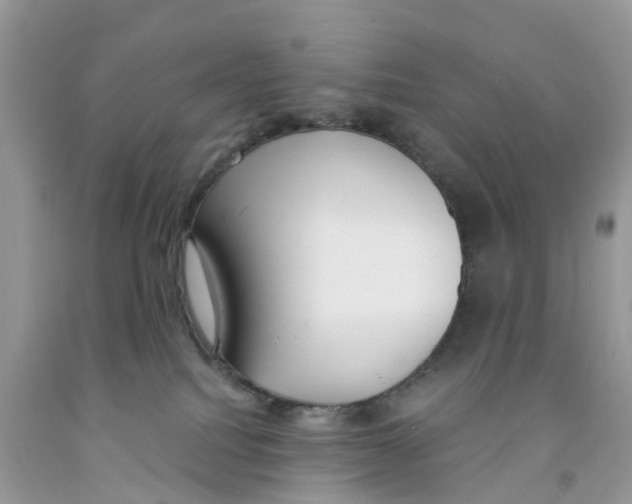 X0000091560088200709141545