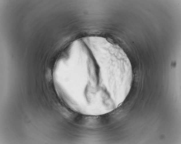 X0000091560089200709141545