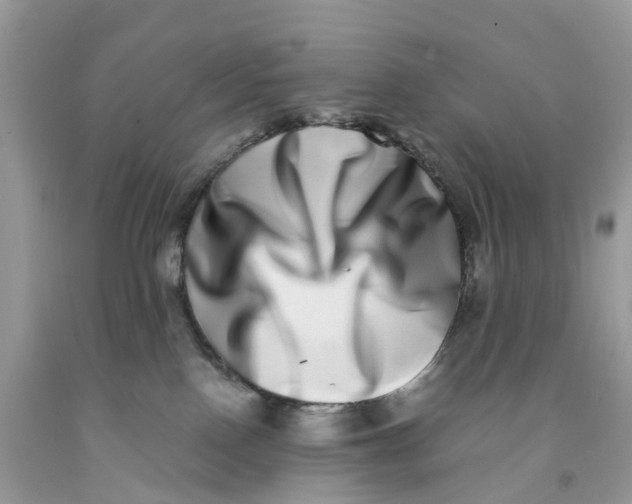 X0000091560090200709141545