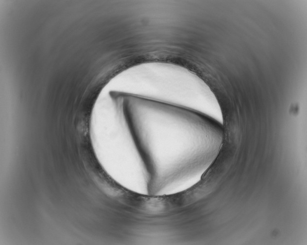 X0000091560091200709141545