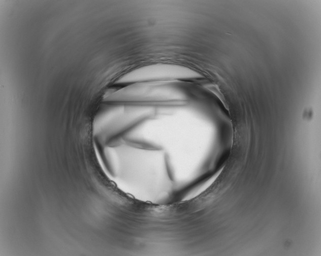 X0000091560092200709141545