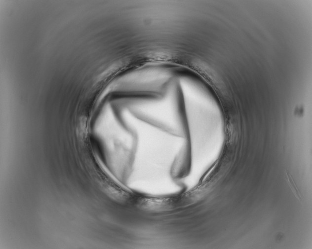 X0000091560093200709141545