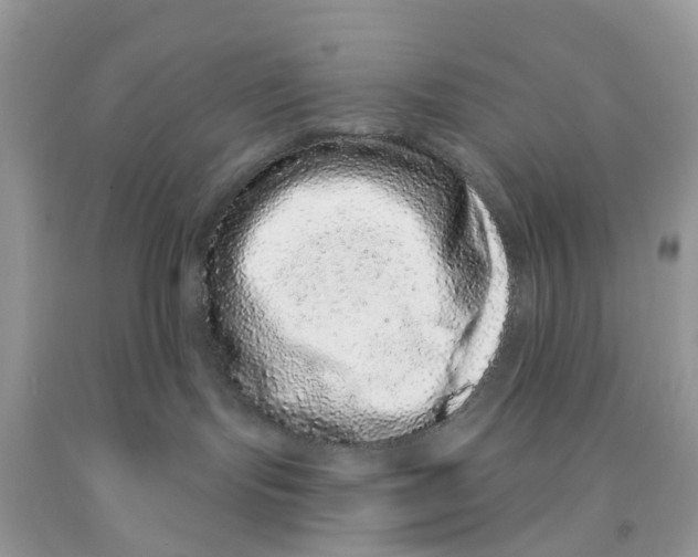 X0000091560095200709141545