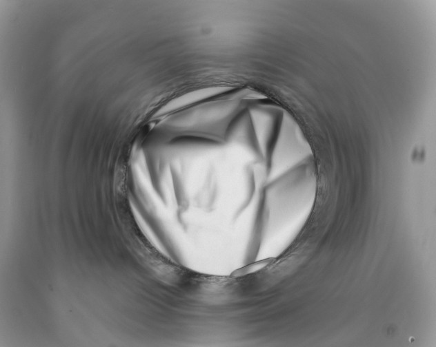 X0000091560096200709141545