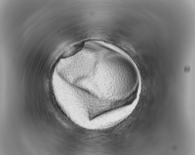 X0000091560098200709141544