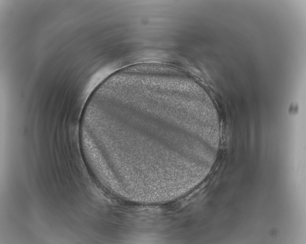 X0000091560099200709141544