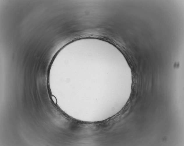 X0000091560100200709141544