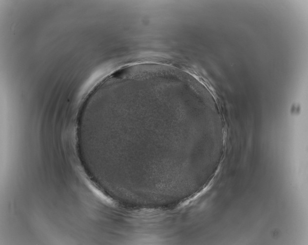 X0000091560101200709141544