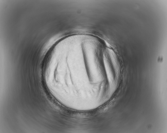 X0000091560103200709141544