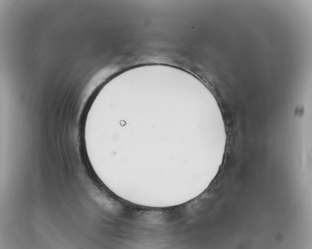 X0000091560104200709141544