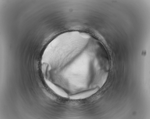 X0000091560106200709141544