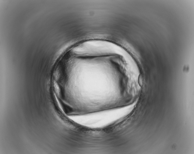 X0000091560107200709141544