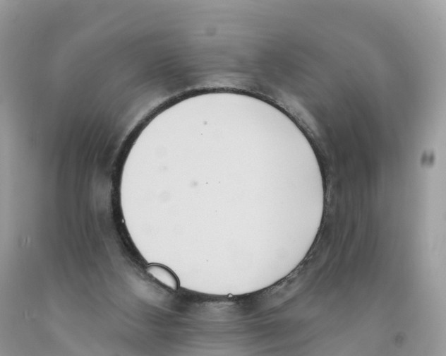 X0000091560108200709141544