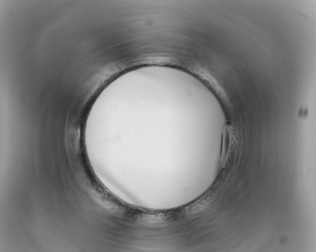 X0000091560110200709141544