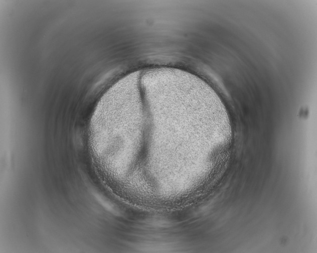 X0000091560114200709141544