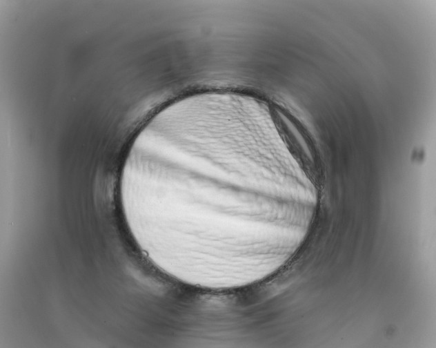 X0000091560115200709141544