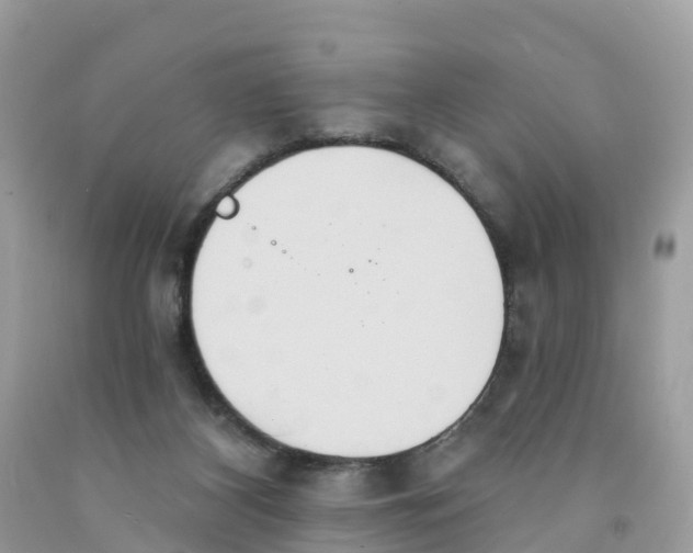 X0000091560116200709141544