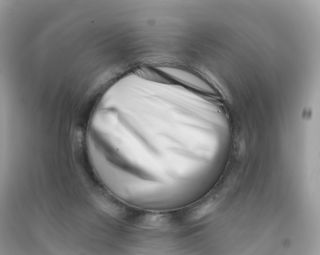 X0000091560117200709141544