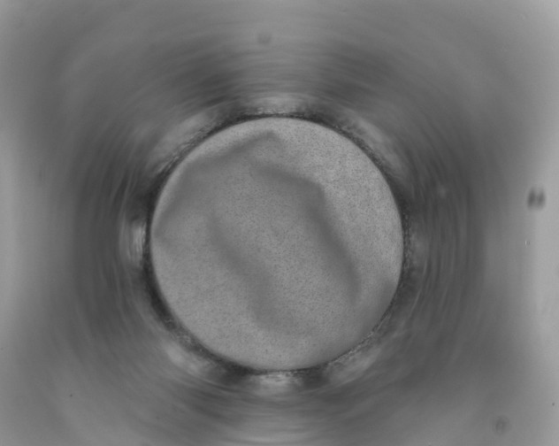 X0000091560118200709141544