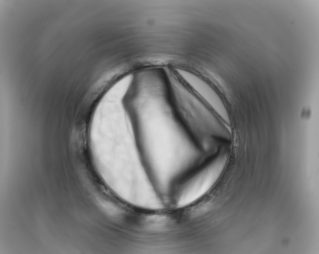 X0000091560119200709141544