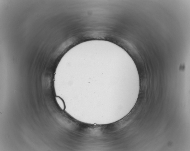 X0000091560120200709141544