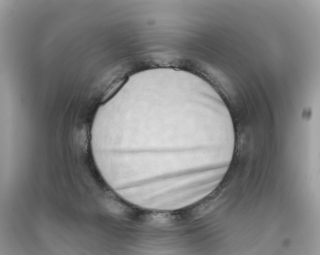 X0000091560121200709141544