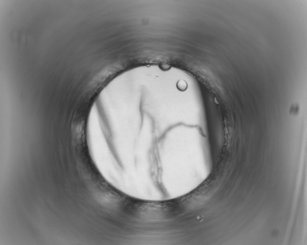 X0000091560123200709141544