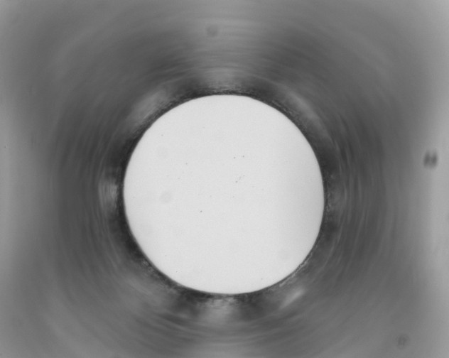 X0000091560124200709141544