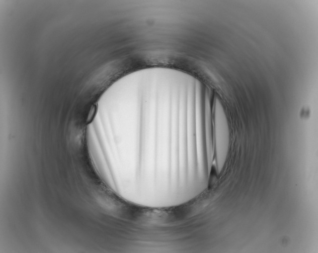 X0000091560125200709141544