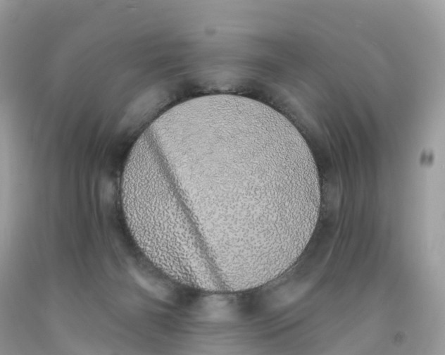 X0000091560126200709141544