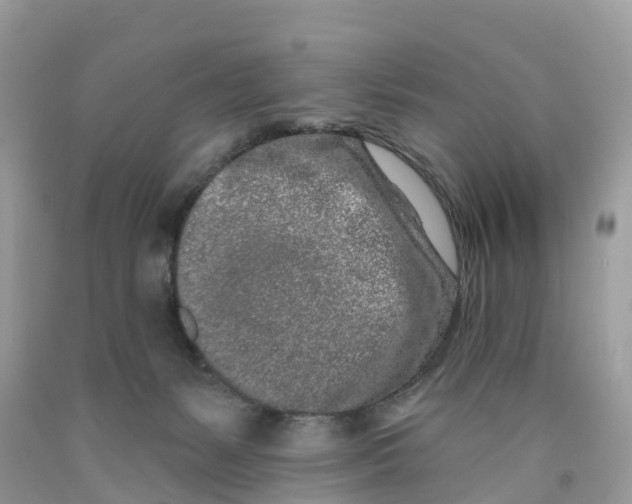 X0000091560127200709141544