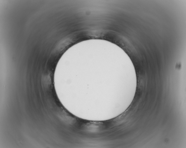 X0000091560128200709141544