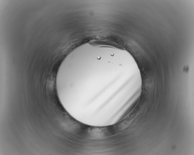 X0000091560129200709141544