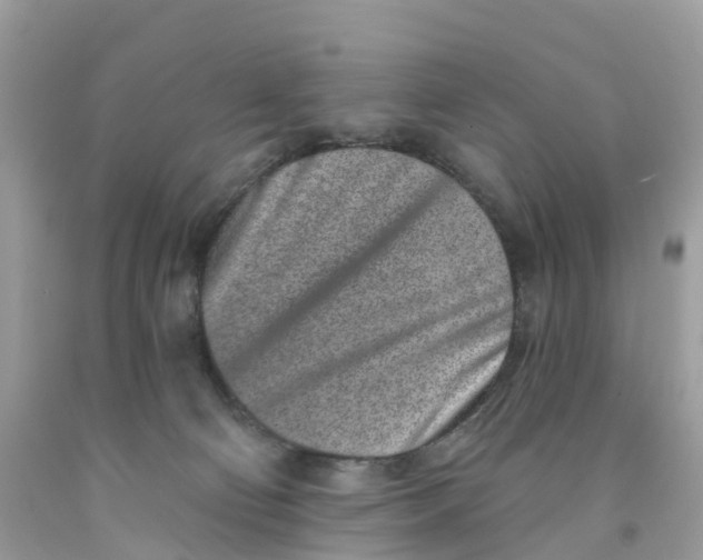 X0000091560130200709141544