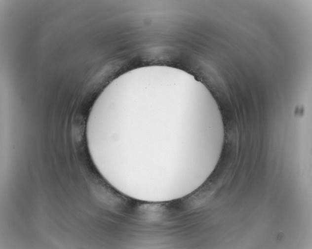 X0000091560133200709141544