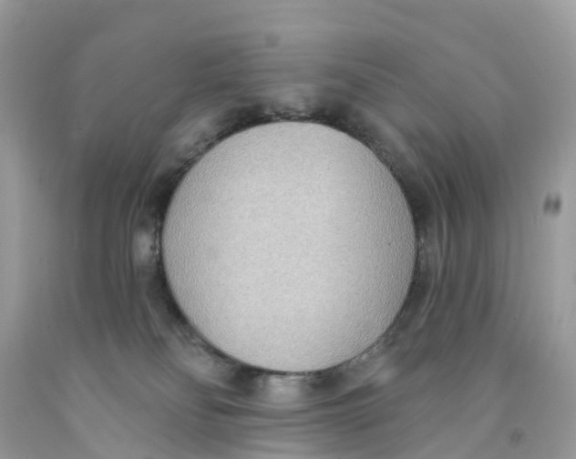 X0000091560134200709141544