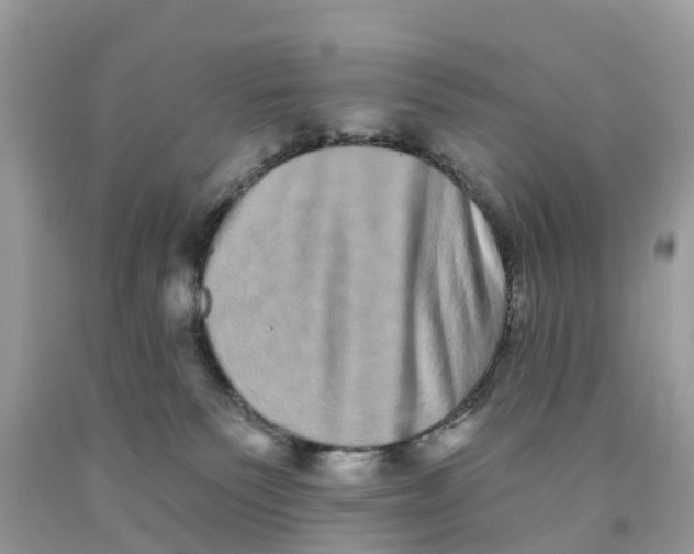 X0000091560135200709141544