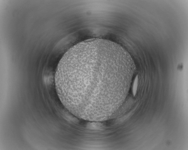 X0000091560137200709141543