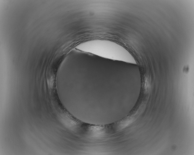 X0000091560139200709141543