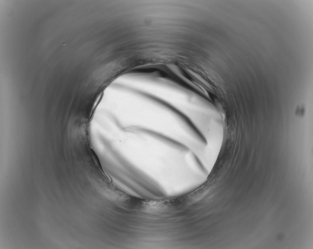 X0000091560141200709141543