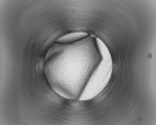 X0000091560142200709141543